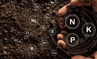 Why are compound fertilizers superior to single-component fertilizers?